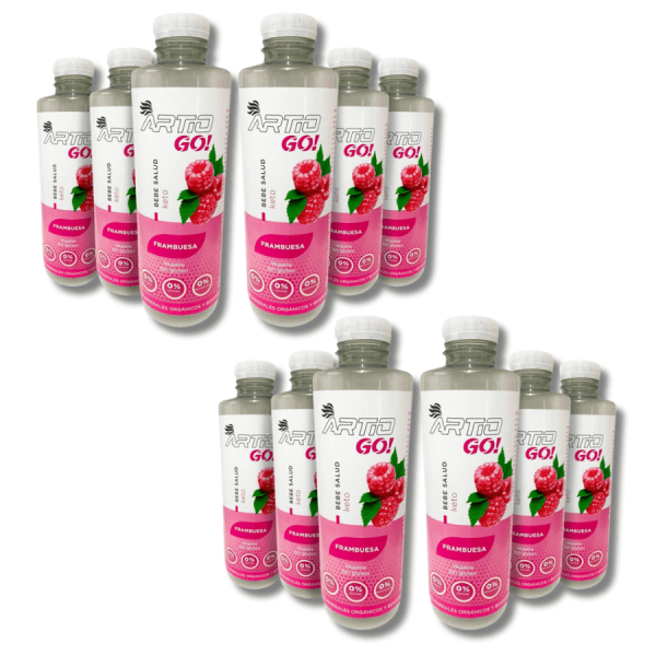 Bebida Isotónica Artio GO! Frambuesa 12x500ml